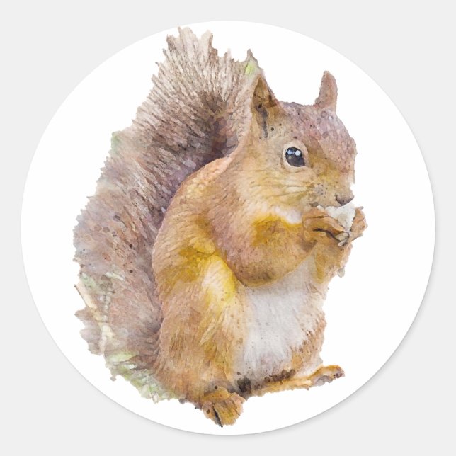 Red squirrel watercolor painting classic round sticker (Front)