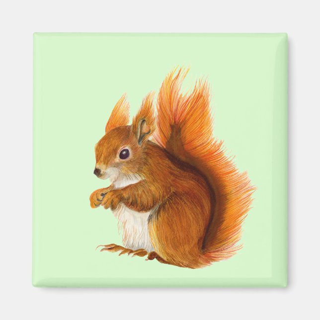 Red Squirrel Watercolor Painting Wildlife Artwork Magnet (Front)
