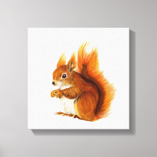 Red Squirrel Watercolour Painting Artwork Print (Front)
