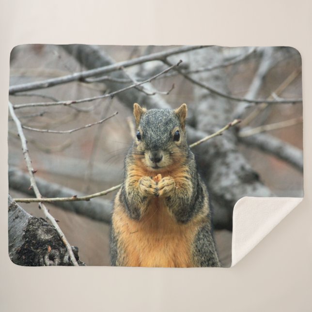 RED SQUIRRL SHERPA BLANKET (Front (Horizontal))