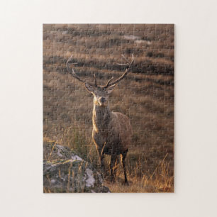 Red Stag Puzzle/Jigsaw Jigsaw Puzzle