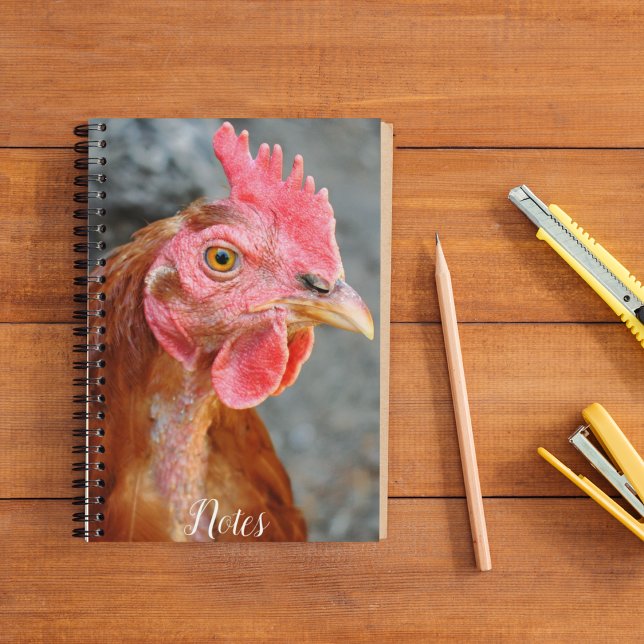 Red Star Chicken Hen Notebook (In Situ)