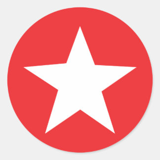 Red Star Icon Classic Round Sticker