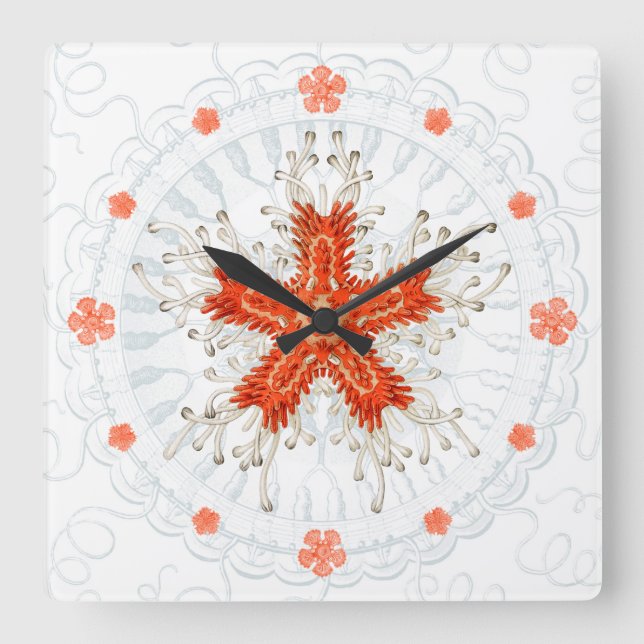 Red starfish on vintage marine texture Wall Clock (Front)