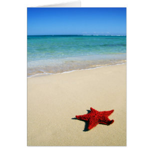 Red Starfish On White Sand Beach