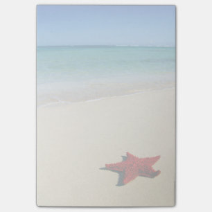 Red Starfish On White Sand Beach Post-it Notes