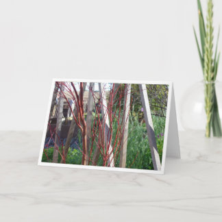 Red Sticks & White Stakes Card