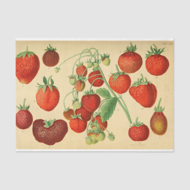 Red Strawberry Ephemera Decoupage Tissue Paper (Front)