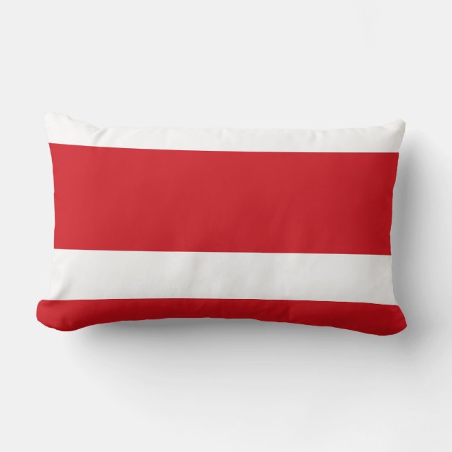 Red striped lumbar pillow (Front)