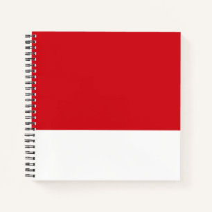 Red striped notebook