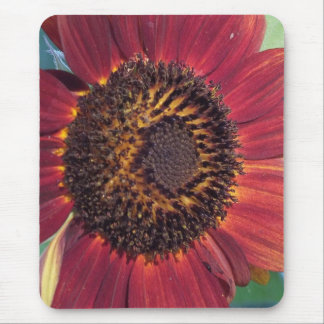 Red Sunflower Mouse Pad