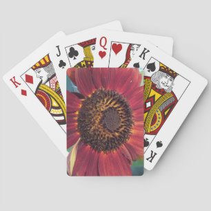 Red Sunflower Playing Cards