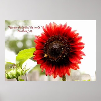 Red Sunflower Poster with Matthew 5:14 Bible Verse