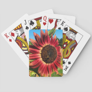 Red Sunflower with Bee Playing Cards