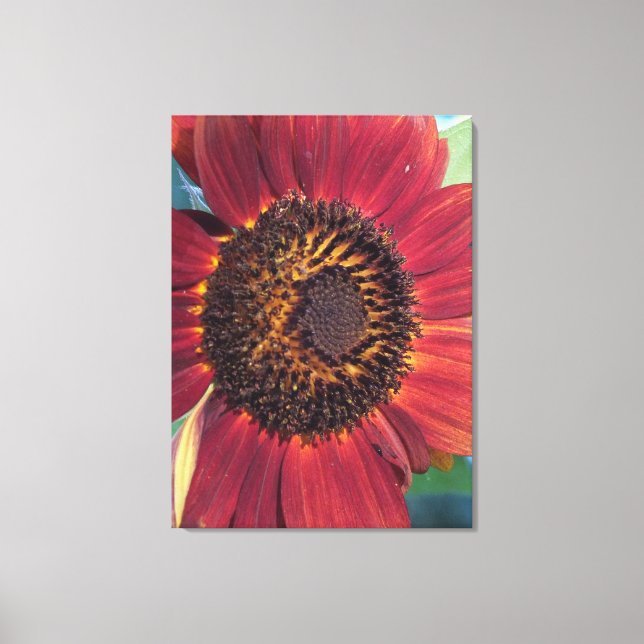 Red Sunflower Wrapped Canvas print (Front)
