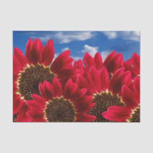 Red Sunflowers and Blue Skies - Tissue Paper