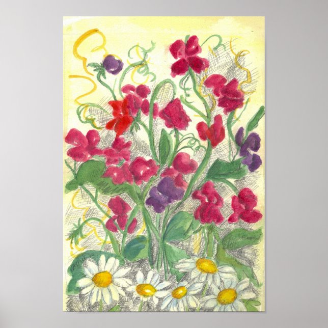 Red Sweet Pea Daisy Watercolor Garden Drawing Poster (Front)