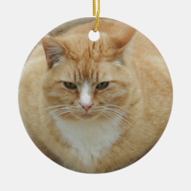 Red Tabby Ceramic Ornament (Front)