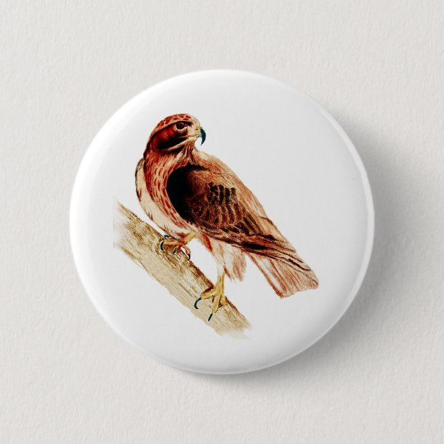 Red Tail Hawk 2 Inch Round Button (Front)