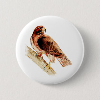 Red Tail Hawk 2 Inch Round Button