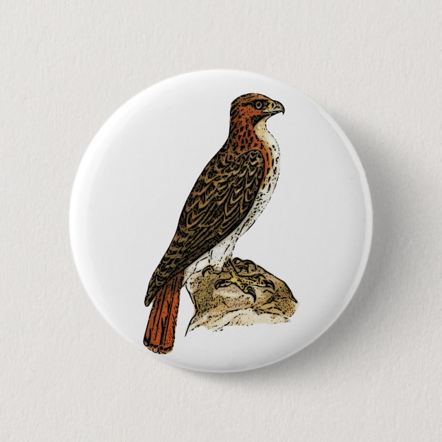 Red Tail Hawk 2 Inch Round Button (Front)