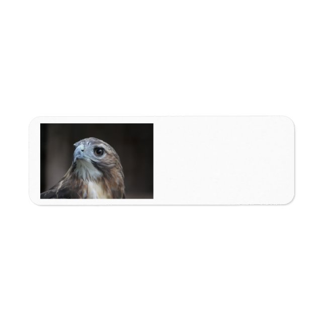Red Tail Hawk address labels (Front)