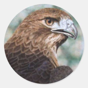 Red-tail Hawk airbrush Classic Round Sticker