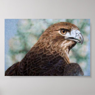 Red-tail Hawk-airbrush Poster