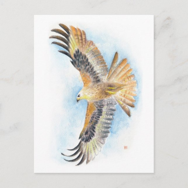 Red Tail Hawk Art Postcard (Front)
