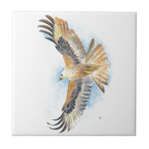 Red Tail Hawk Art Tile