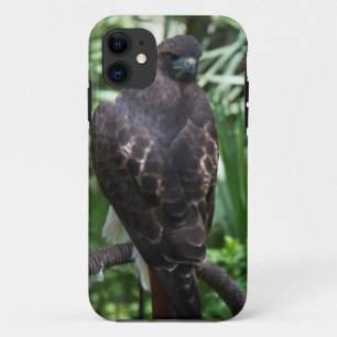 Red Tail Hawk Bird iPhone 11 Case