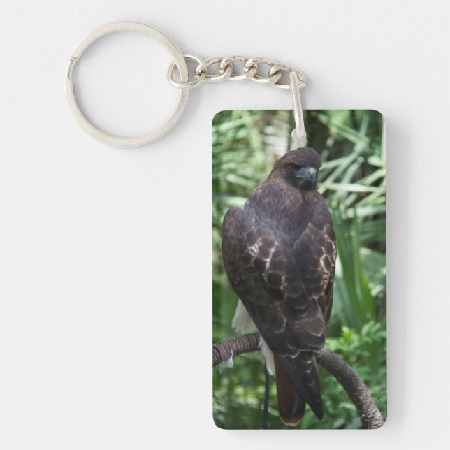 Red Tail Hawk Bird Keychain (Front)