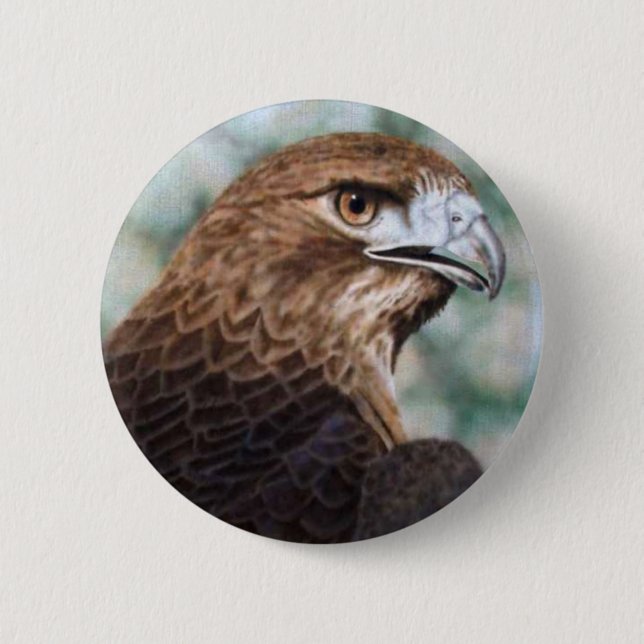Red-tail Hawk Button (Front)