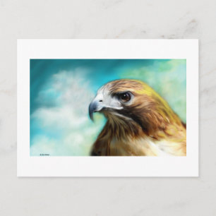 Red Tail Hawk Card