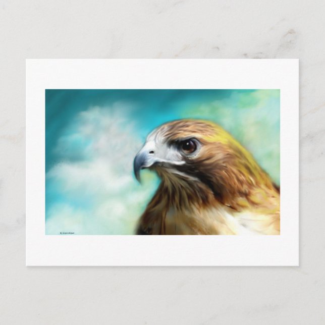 Red Tail Hawk Card (Front)