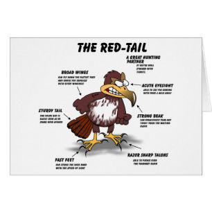 Red-tail Hawk Cartoon