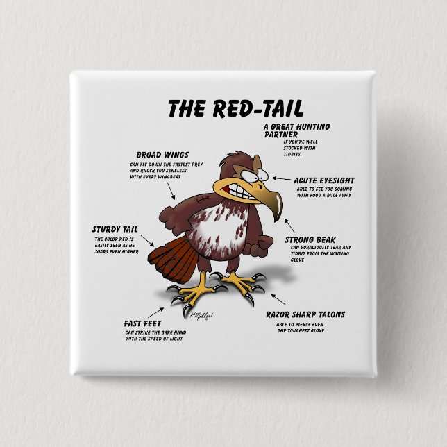 Red-tail Hawk Cartoon 2 Inch Square Button (Front)