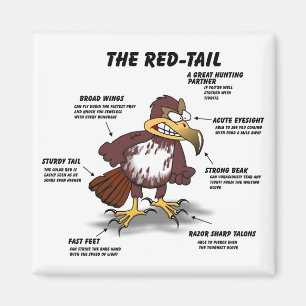 Red-tail Hawk Cartoon Magnet