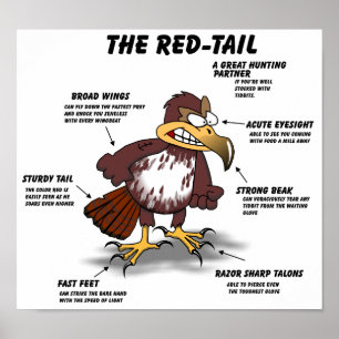 Red-tail Hawk Cartoon Poster