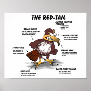 Red-tail Hawk Cartoon Poster