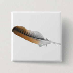 Red-tail Hawk feather 2 Inch Square Button