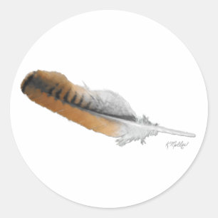 Red-tail Hawk feather Classic Round Sticker
