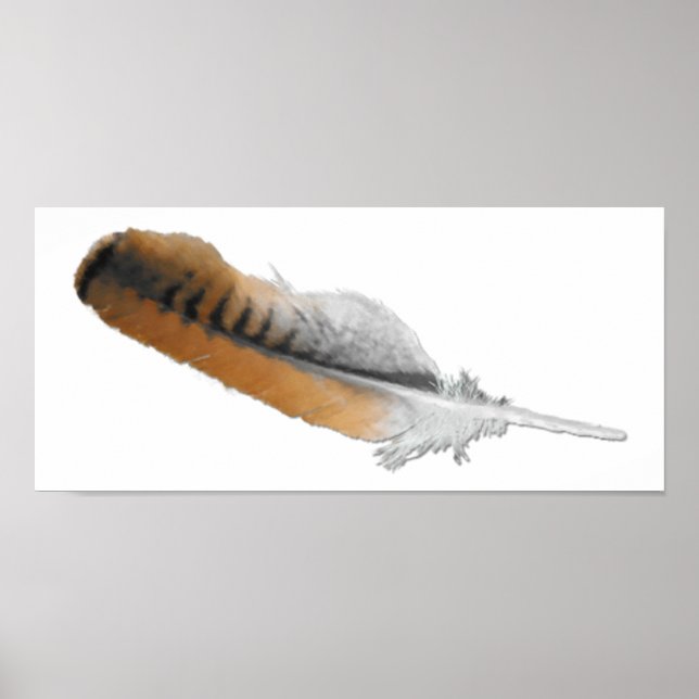Red-tail Hawk feather Poster (Front)