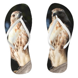 Red Tail Hawk Flip Flops