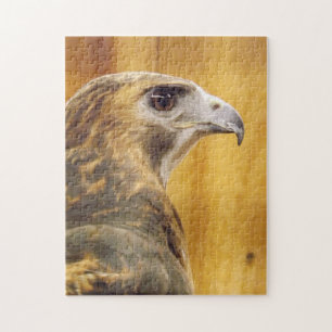 Red Tail Hawk Jigsaw puzzle