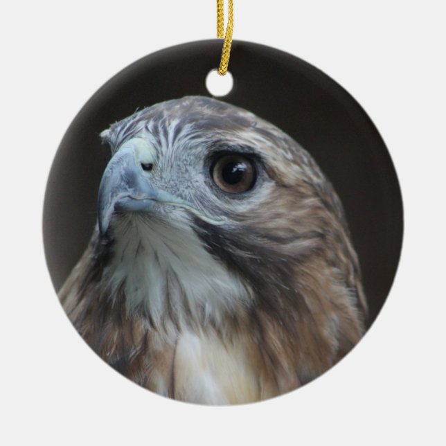 Red Tail Hawk ornament (Front)