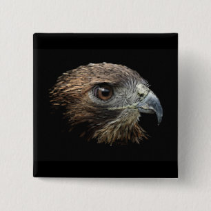 Red-tail Hawk pastel 2 Inch Square Button