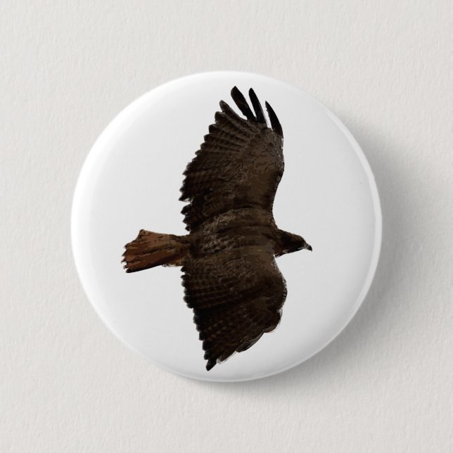 Red-tail sketch 2 inch round button (Front)