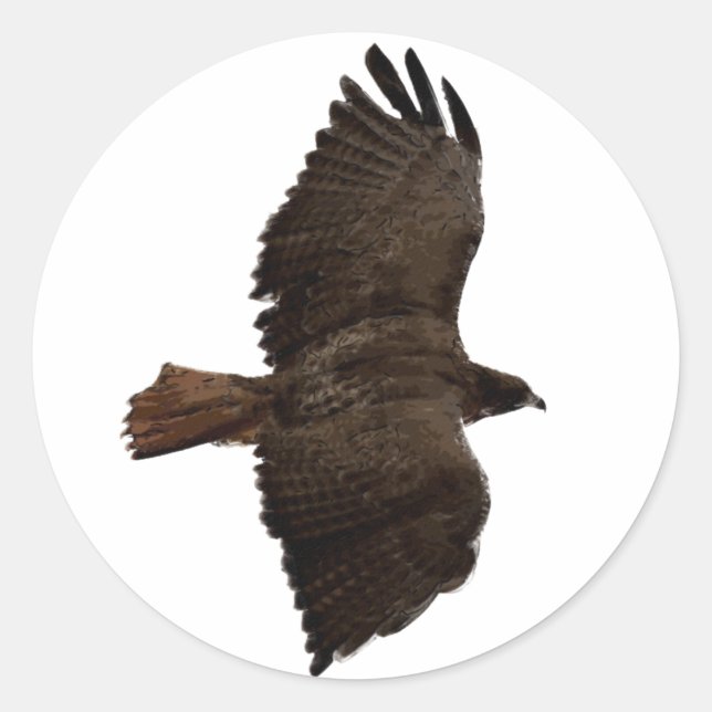 Red-tail sketch classic round sticker (Front)