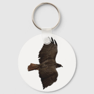 Red-tail sketch keychain